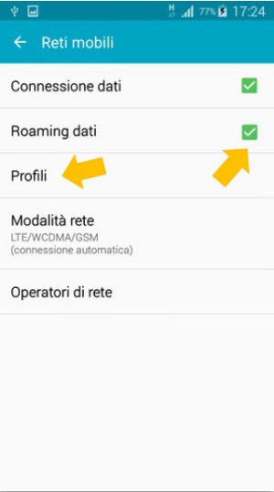 4 Attiva il Roaming dati e seleziona Profili
